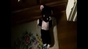 Бойфренд аккуратно погрузил свое имущество в пердак шаболды и принялся егозить им