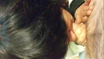 Индидуалки шлюхи