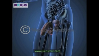 Учатся сексу