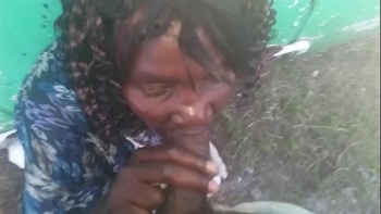 Фиговых листков