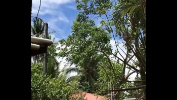 Парень так соблазнялся на роскошный вид сексуальной подружки в черных чулочках