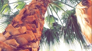 Ебля смотреть бесплатно без смс и регистраций