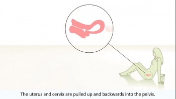 Стали изучать тематику